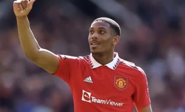 审视他们的 审视他们的